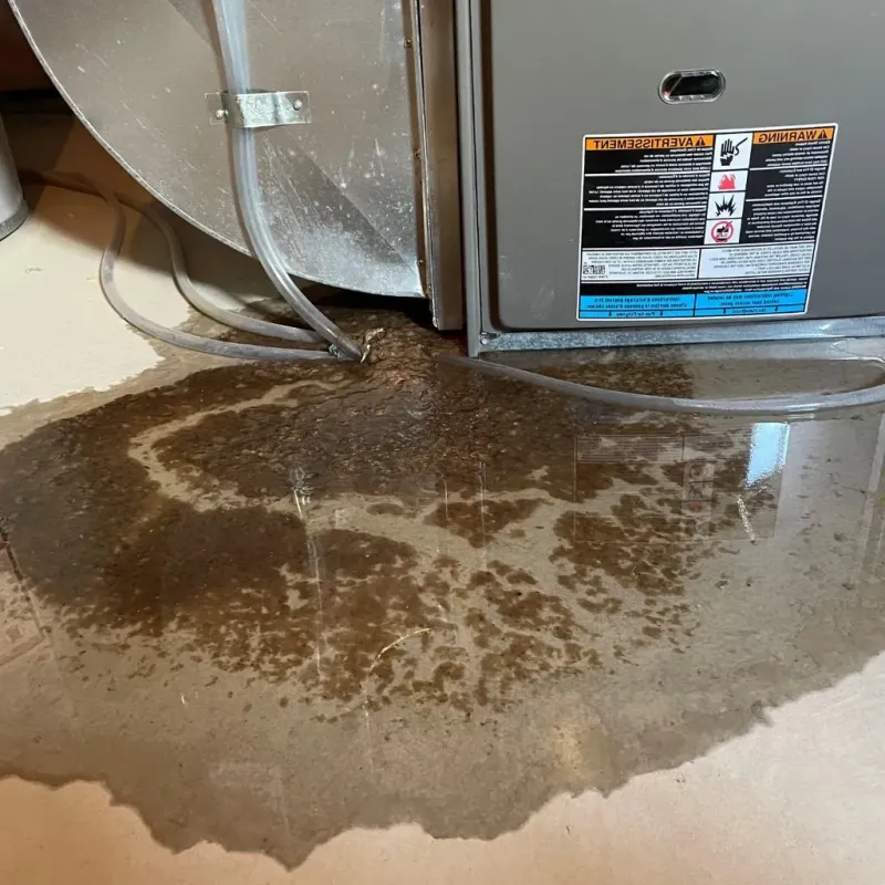 Pipe Burst and Leak Restoration in Newport, AR